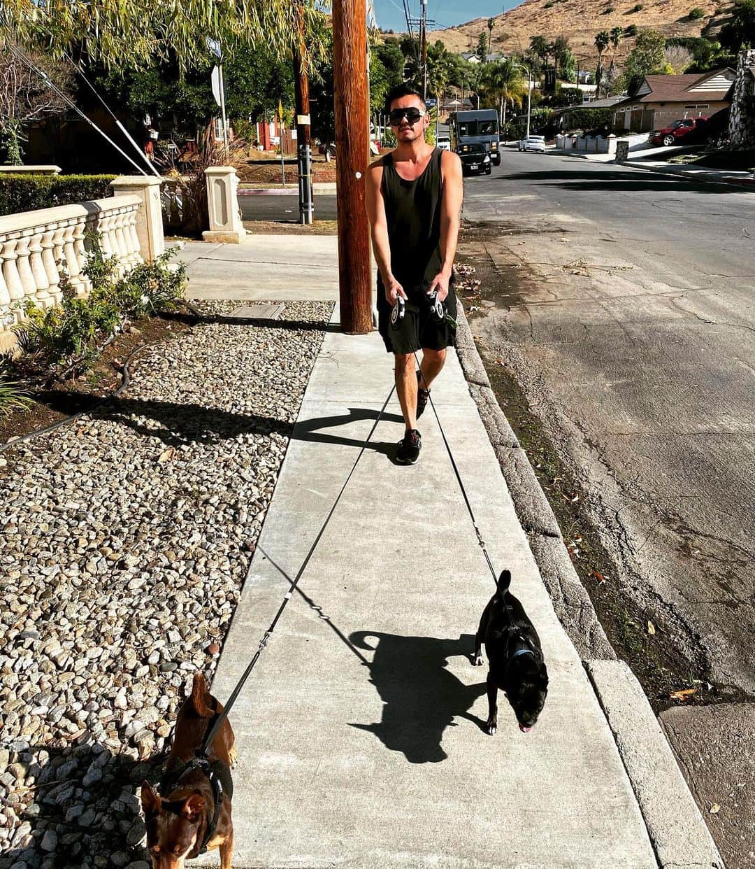 アンソニー・ラモスのインスタグラム：「Who else is grateful for the extra dog-walks during quarantine?  It’s going to be a wild NYE 🐶🐶😆  #2020 #HappyNewYear #DoggyStyle」