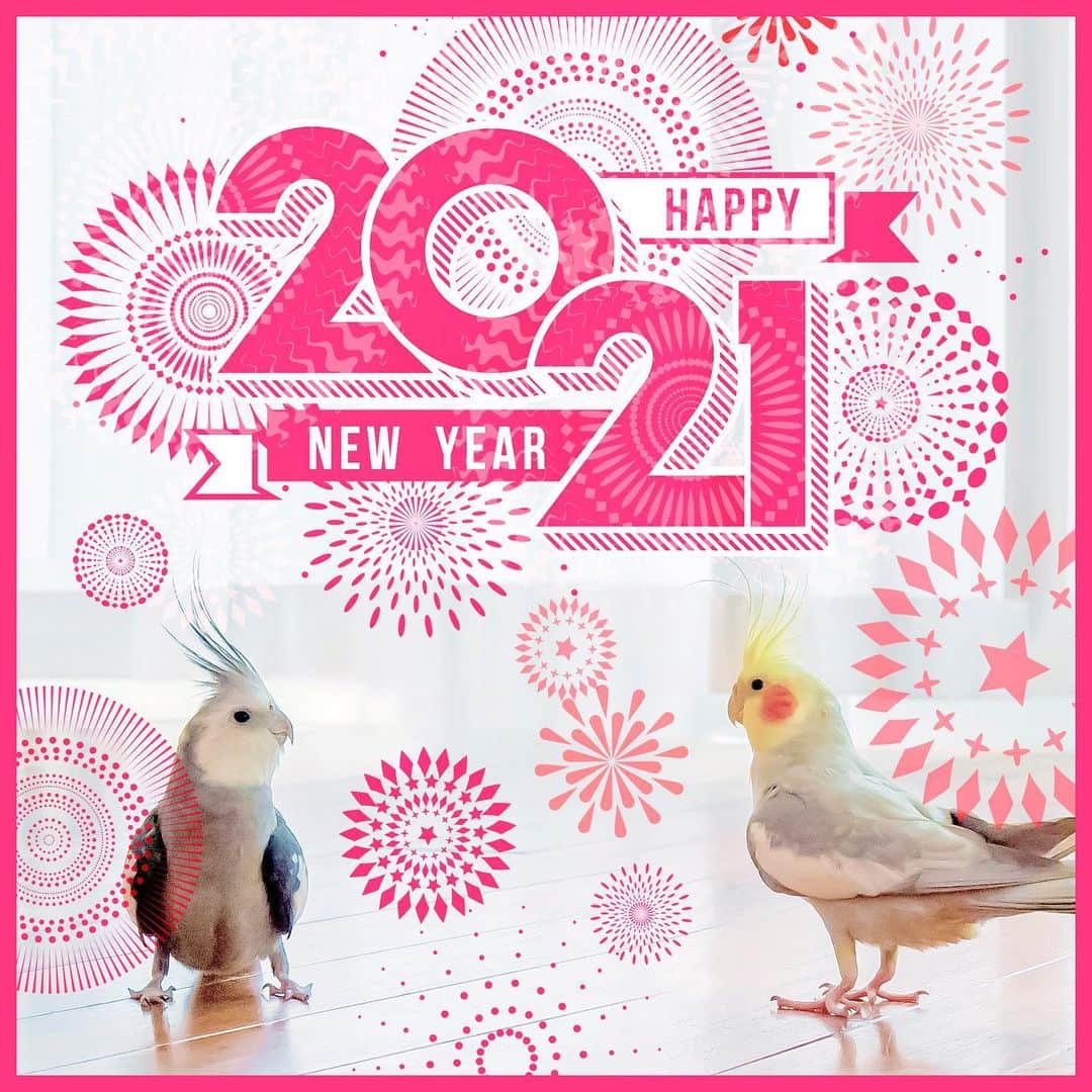 YURAPOi ゆらぽぃさんのインスタグラム写真 - (YURAPOi ゆらぽぃInstagram)「HAPPY NEW YEAR 2021 あけましておめでとうございます㊗️ 今年もよろしくお願いします^_^」1月1日 8時21分 - ryoichisakai