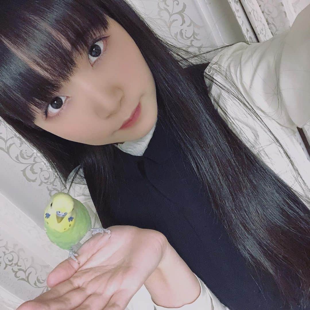 帝子さんのインスタグラム写真 - (帝子Instagram)「あけましておめでとうございます🌅 今年もよろしくお願いします🙌💎」1月1日 8時36分 - soraimuteiko