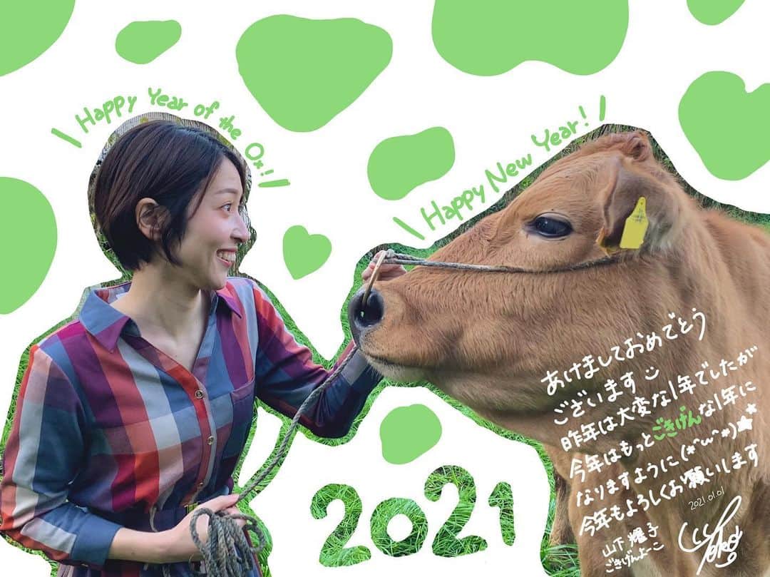 山下耀子のインスタグラム：「明けましておめでとうございます☺️💕 今年もよろしくお願いします😌 . #あけましておめでとうございます  #今年もよろしくお願いします  #2021 #丑年 #年賀状 #土佐あかうし」