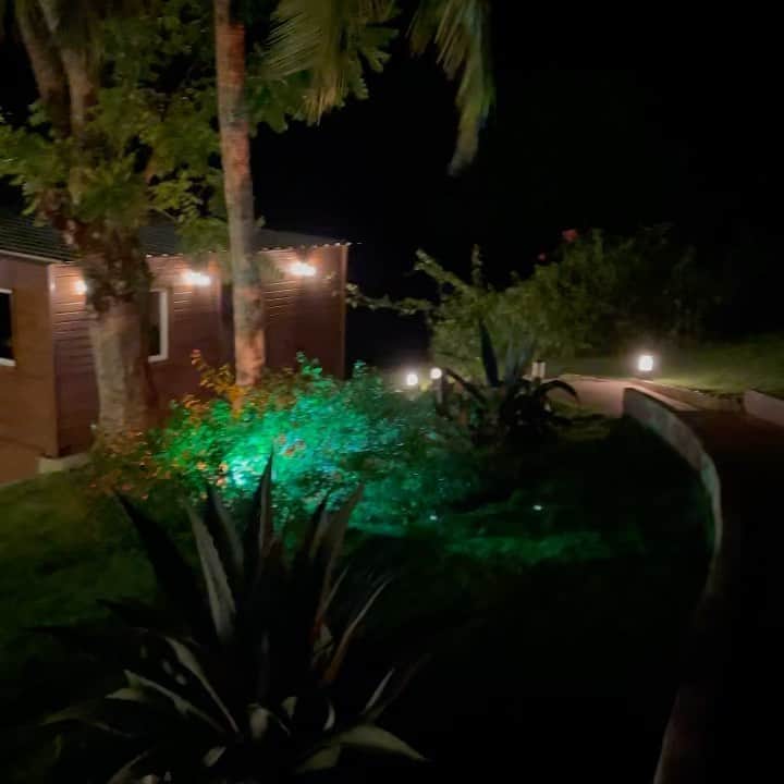 ジョーダン・ノルベルトのインスタグラム：「Féliz año Nuevo para todos @haciendavistalinda」