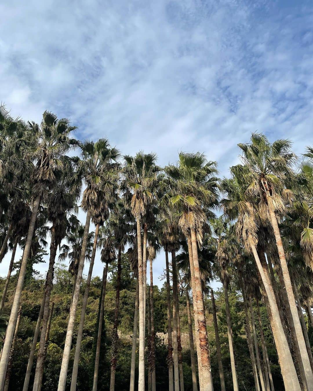 ソン・ナウンさんのインスタグラム写真 - (ソン・ナウンInstagram)「새해의 시작을 갬성캠핑과🌴 오늘밤9시 jtbc」1月1日 18時19分 - marcellasne_