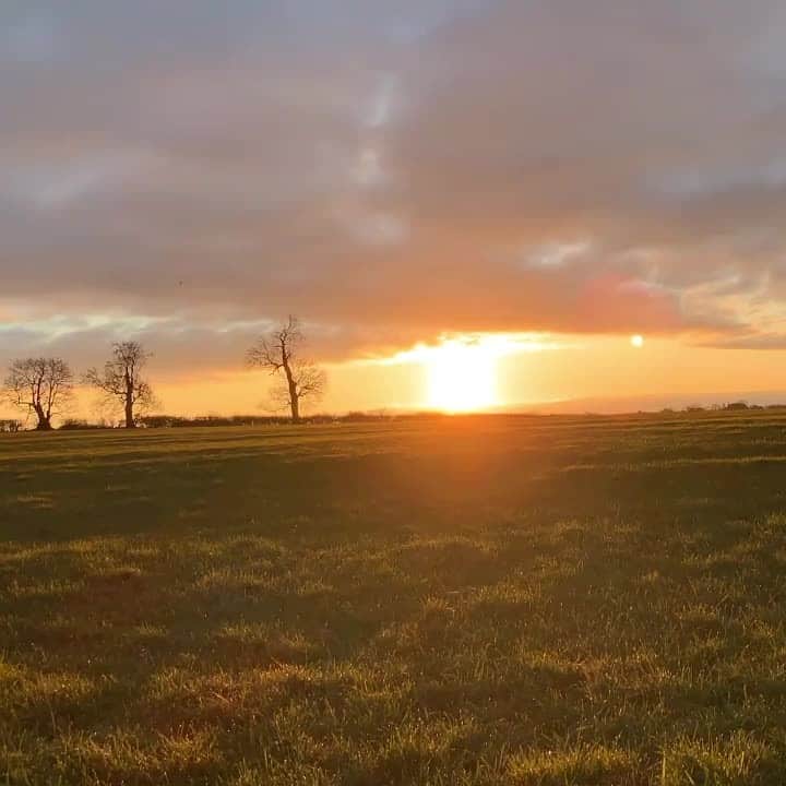 のインスタグラム：「As the sun rises on a New Year, we are looking ahead to 2021 with a sense of hope and optimism.⁠ ⁠ Once again, we would like to thank you for your continued support throughout 2020. We look forward to embarking upon this new chapter with you, and wish you health and happiness for the year ahead. #bamford #newyear」