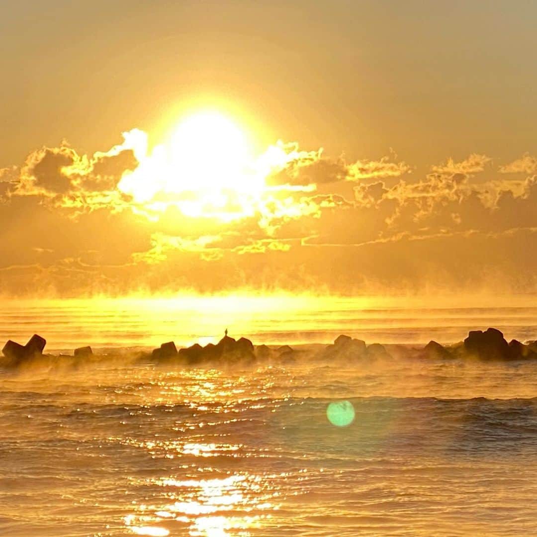 原千晶さんのインスタグラム写真 - (原千晶Instagram)「新年明けましておめでとうございます🎍✨  2021年は 皆さんにとって心が温まる 笑顔沢山の一年になります ように✨  今年も宜しくお願いします！  今朝５時に起きて 自宅近くの海岸で初日の出 見てきました🌅  海岸線が厚い雲に覆われて いたのですが、 7時前ようやく雲の隙間から 太陽が姿を現して ぐんぐん世界が光に満ちてくる瞬間を目の当たりにしました。  光に包まれると 海面から立ち昇る水蒸気が はっきりと見えて まるで雲海のよう  新年早々 幻想的な素晴らしい景色を 見る事ができました。  2021年は 動きたい‼️行動あるのみ❗️  #初日の出  #2021年」1月1日 19時08分 - seribukristal