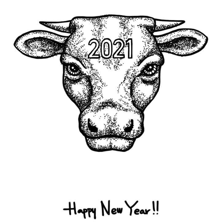 田中裕介のインスタグラム：「新年あけましておめでとうございます。 2021 皆さまに幸あれ！！！」