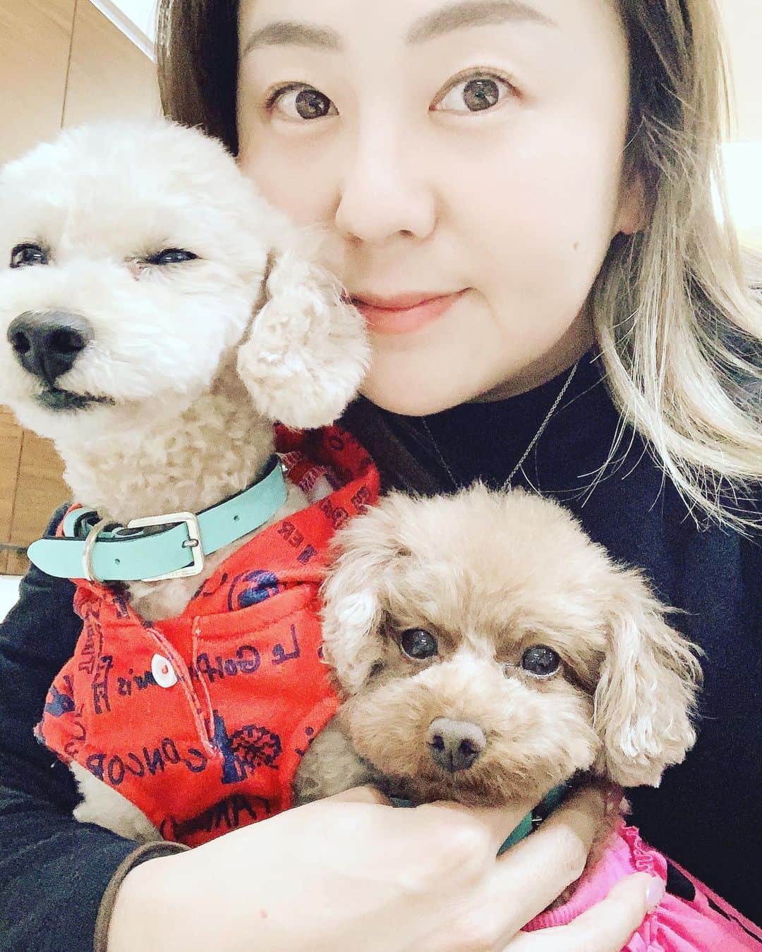 佐伯三貴のインスタグラム：「新年明けましておめでとうございます🎍🥰❤️  本年も宜しくお願い致します⭐️  今年は丑年🐄  牛歩でも確実に前進していけるように日々邁進して参りますのでどうぞ宜しくお願い致します🥰⭐️  2021.1.1  佐伯三貴」