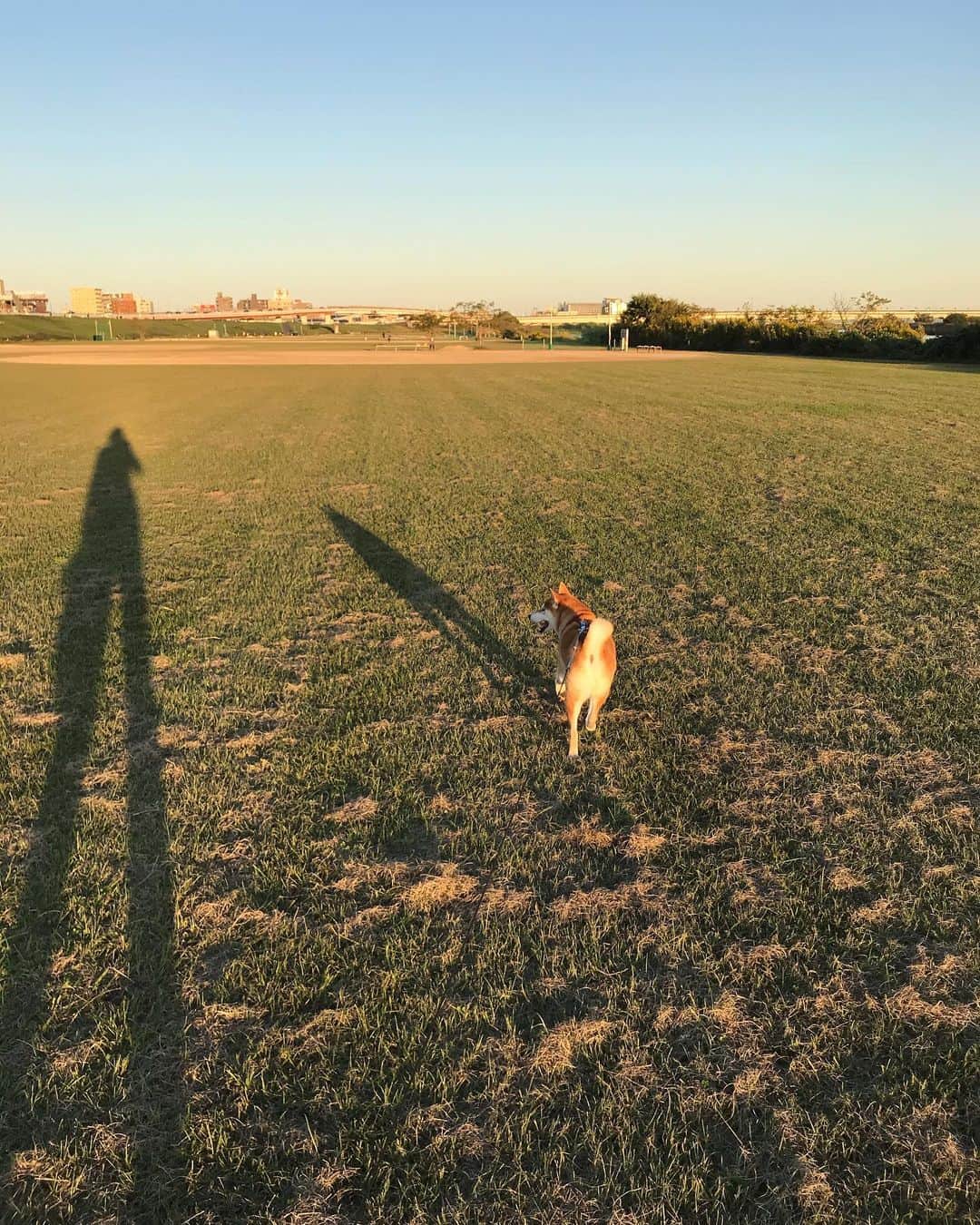 高橋みゆきのインスタグラム：「🎍あけましておめでとう🎍 今年もよろしくお願いします🥺🙏 #2021 #あけおめ」