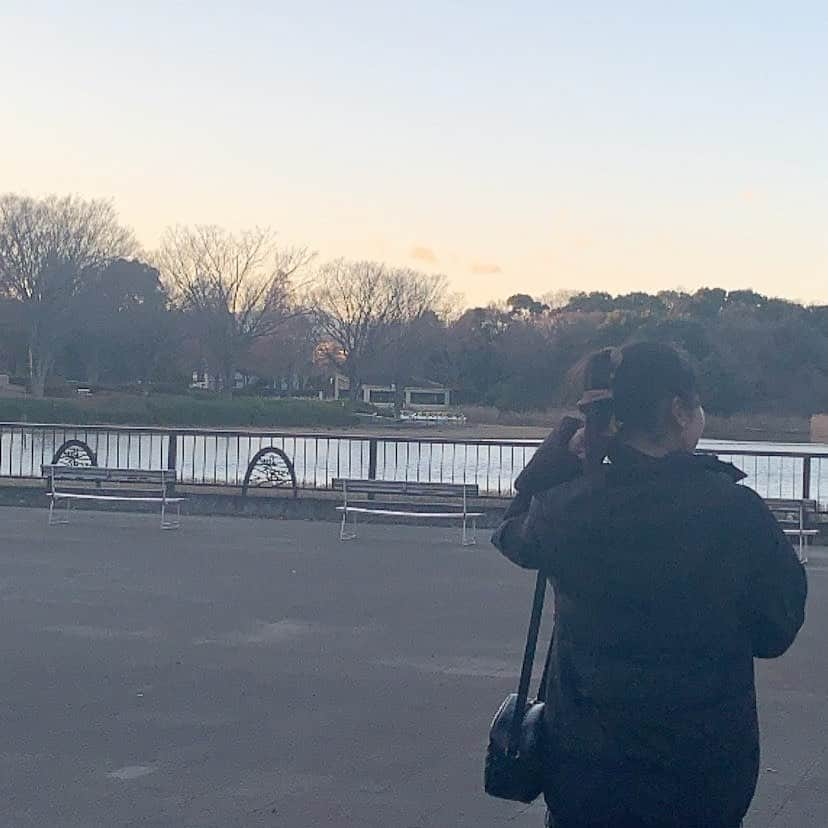 琴子のインスタグラム：「新年明けましておめでとうございます 2021年もよろしくお願いします🐄」