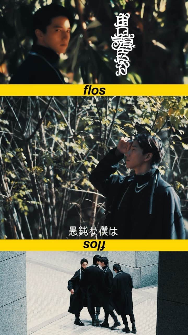 田口淳之介のインスタグラム：「#flos #rsounddesign @rs #田口淳之介 #cover #歌ってみた #mv #tiktok #youtube film by @toguchi_saru」