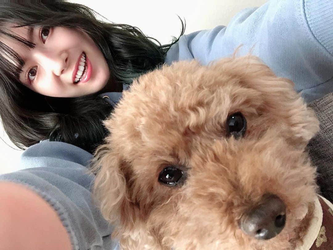 日下部美愛のインスタグラム：「関西にいるんですけど、関西弁喋りすぎて標準語忘れた気がする  #犬のいる暮らし #トイプードル #photo #japan #model #me #hair #fashion #fashionblogger #makeup  #followme #instagood #camera #instadaily #dailylook」