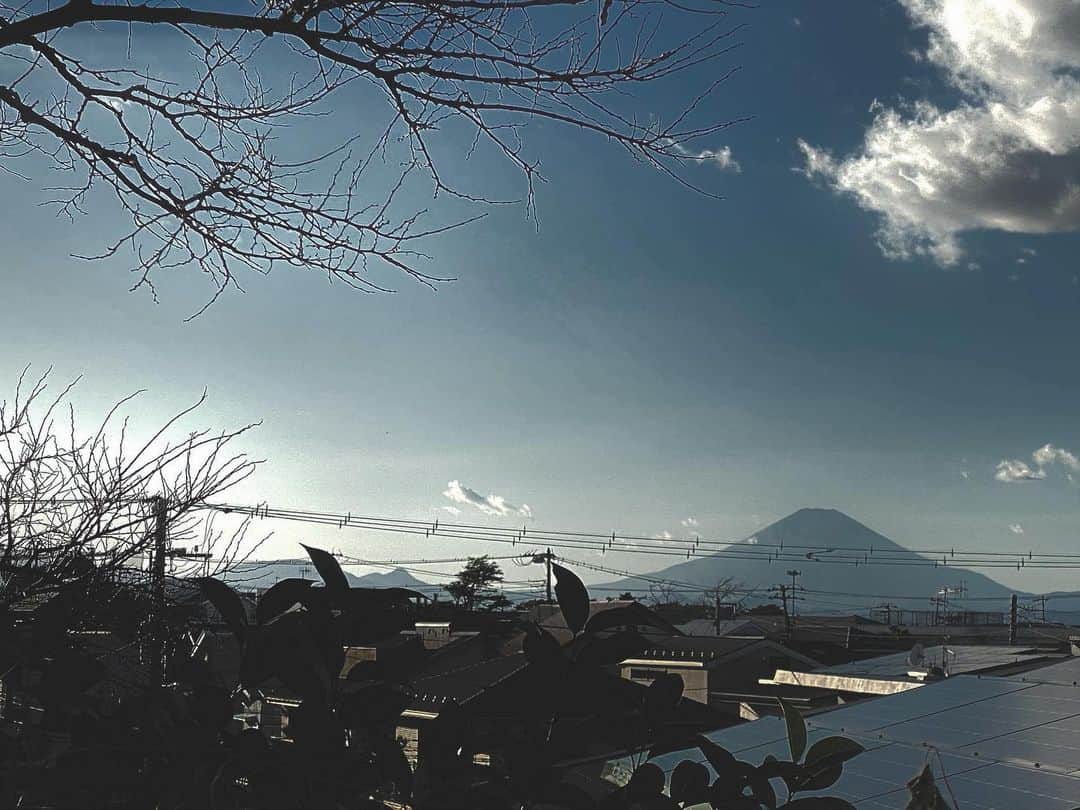 安藤裕子さんのインスタグラム写真 - (安藤裕子Instagram)「あけましておめでとうございます⛩🎍⛩ お散歩していたら富士山が見えて  あ 夢で富士山見たなって思い出したのね 雪化粧がとっても綺麗で さすが富士山だなって思う夢  どうやら縁起がいいらしいのでお裾分け🐄」1月1日 19時43分 - yuko_ando