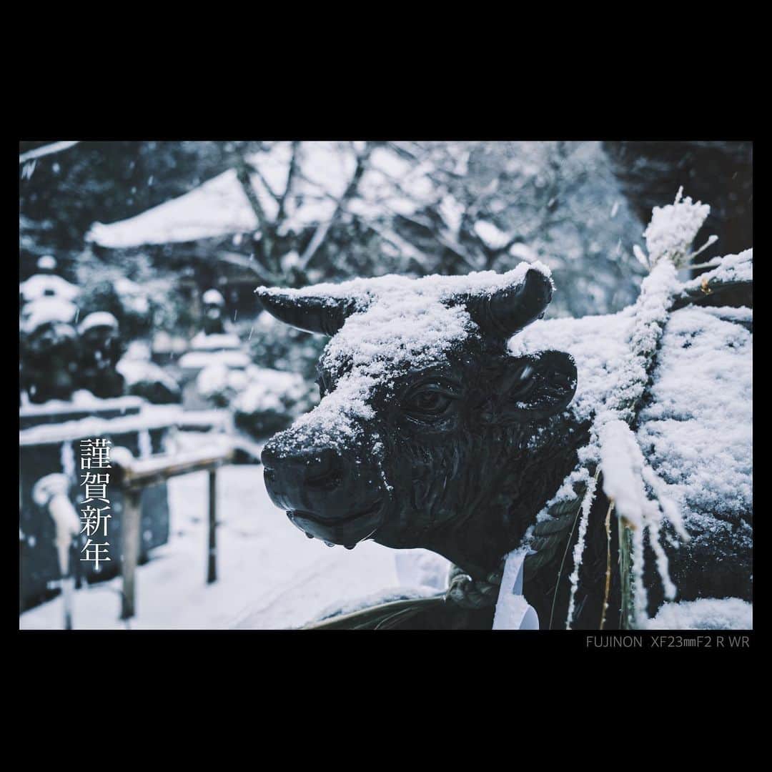 plus_thinkingのインスタグラム：「明けましておめでとうございます。 今年もよろしくお願いします。 . camera: X-T3 lens: FUJINON  XF23㎜F2 R WR . #beautifuljapan #snapJapan」