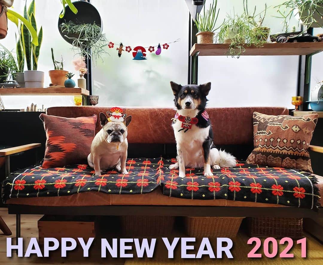 tamiさんのインスタグラム写真 - (tamiInstagram)「* #2021 * 🎍謹賀新年🎍 本年もどうぞよろしくお願いいたします。  🥔🐺 #新年のご挨拶」1月1日 10時44分 - tami_73
