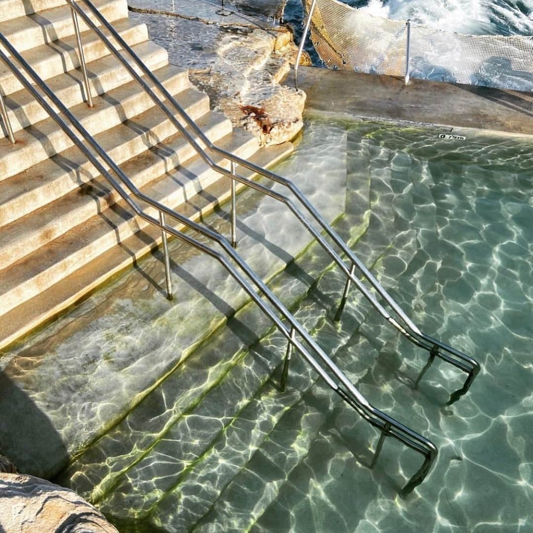 The Horseさんのインスタグラム写真 - (The HorseInstagram)「Starting off the year with a swim via @nudiebumm」1月1日 11時00分 - the_horse
