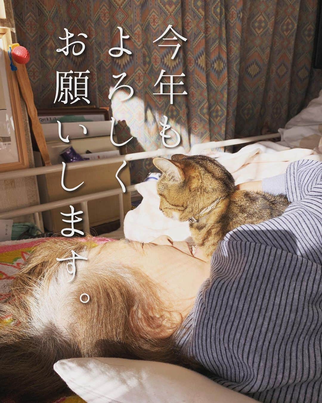 Kachimo Yoshimatsuさんのインスタグラム写真 - (Kachimo YoshimatsuInstagram)「バーバとココア Mother & Cocoa 今年もよろしくお願いします。 #うちの猫ら #バーバ #cocoa #バーバと猫 #猫 #ねこ #cat #ネコ #catstagram #ネコ部 http://kachimo.exblog.jp」1月1日 10時59分 - kachimo