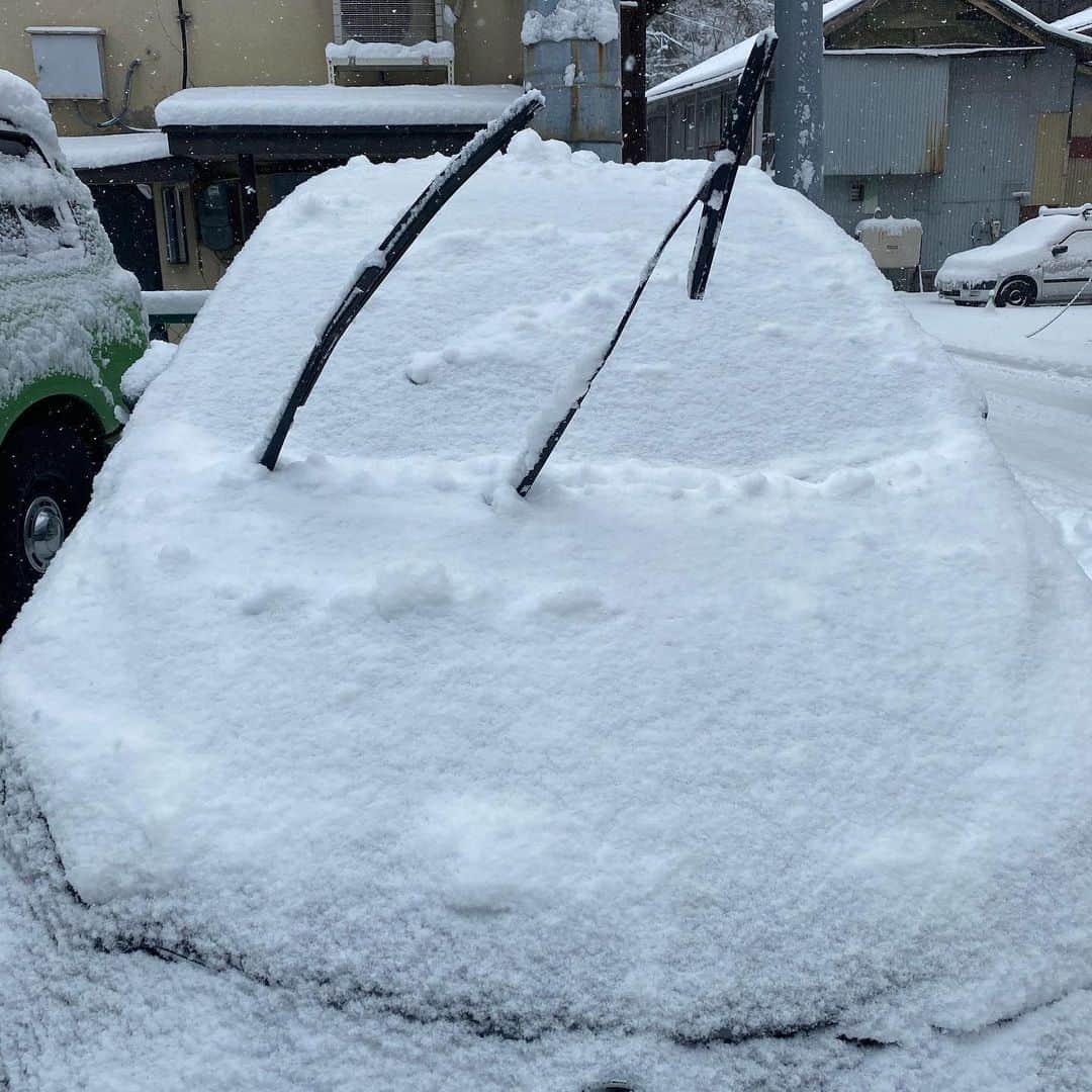 猫ひろしさんのインスタグラム写真 - (猫ひろしInstagram)「‪雪国をあまく見すぎてた…。‬  ‪車が…‬。  これじゃあ車も猫も走りづらい…  無理はしないで出来ることからやります。  という事でみんな今年もよろしくニャー」1月1日 11時03分 - cat_hiroshi