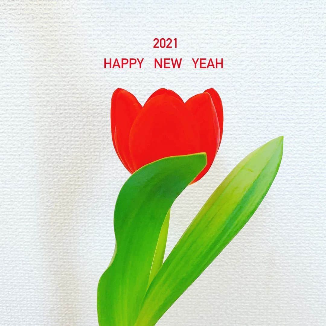 久保陽香さんのインスタグラム写真 - (久保陽香Instagram)「﻿ ﻿ あけましておめでとうございます﻿ ﻿ ひょえ〜﻿ ってなってるチューリップ笑﻿ 素敵をたくさん見つけていこ〜﻿ ﻿ 今年もどうぞよろしくお願いします﻿ ぱっ🌷﻿ ﻿ ﻿ #2021年﻿ #チューリップ﻿ #花言葉﻿ #思いやり」1月1日 11時05分 - kubo_haru
