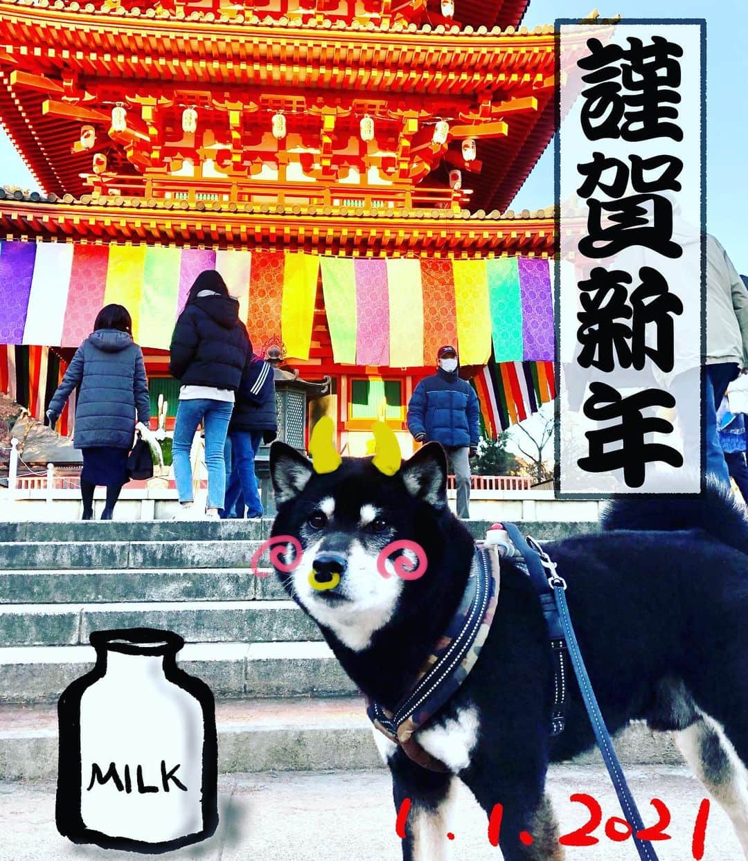 小川博永さんのインスタグラム写真 - (小川博永Instagram)「あけましておめでとうございます 世界が平和でありますように そして音楽を楽しめますように  令和三年元旦  #今朝まる #ししまる #dog #dogs #柴犬 #黒柴」1月1日 11時11分 - ogawahironaga