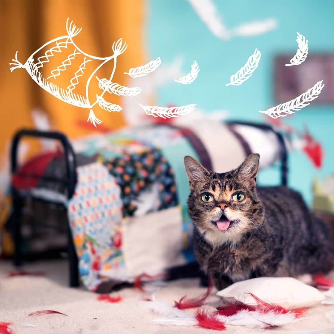 Lil BUBさんのインスタグラム写真 - (Lil BUBInstagram)「Kick off 2021 with a 2021 BUB calendar, because they are 35% off until 2021 (that's in a few hours...) at link in bio (www.lilbub.com/store) #2021 #lilbub #bestjobbub #bilbobubbins #scienceandmagic」1月1日 11時31分 - iamlilbub