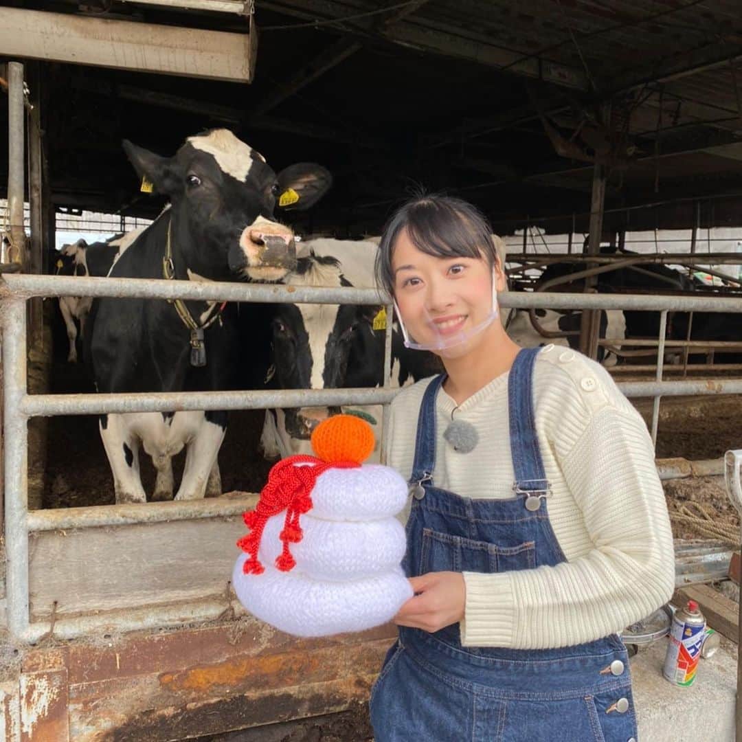 川島恵さんのインスタグラム写真 - (川島恵Instagram)「丑年も、よろしくお願いモウしあげます🐄 ・ 新春特番、ご覧いただきありがとうございました🐄10年前の新春特番で口蹄疫から復興にむけて頑張る酪農家・黒木さんの牛舎から生中継させていただきましたが、先日10年ぶりに再会することができました❣️ 乳牛の頭数も増え、黒木さんのご家族も増えていました❤️㊗️幸せをたくさんいただいた取材でした！ 2021年も、美味しい牛乳、待っています！ たくさん飲モウ！ ・ #新春特番 #酪農家 #乳牛 #牛乳 #宮崎放送 #十年ぶりの再会 #幸せ家族」1月1日 12時02分 - mrt.kawashima