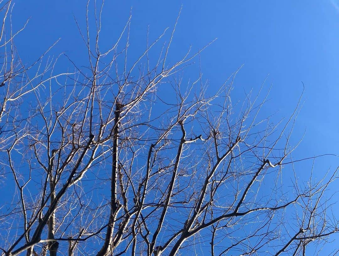 中井智彦さんのインスタグラム写真 - (中井智彦Instagram)「明けましておめでとうございます！ ちらっと顔を出す富士山と、綺麗な青空。 コロナの収束を願い、空を見上げてます。 今年も歌の物語をお届けできますように。 皆さんの笑顔を求めて！ 本年もよろしくお願い致します！ #歌」1月1日 12時16分 - nakaitomohiko