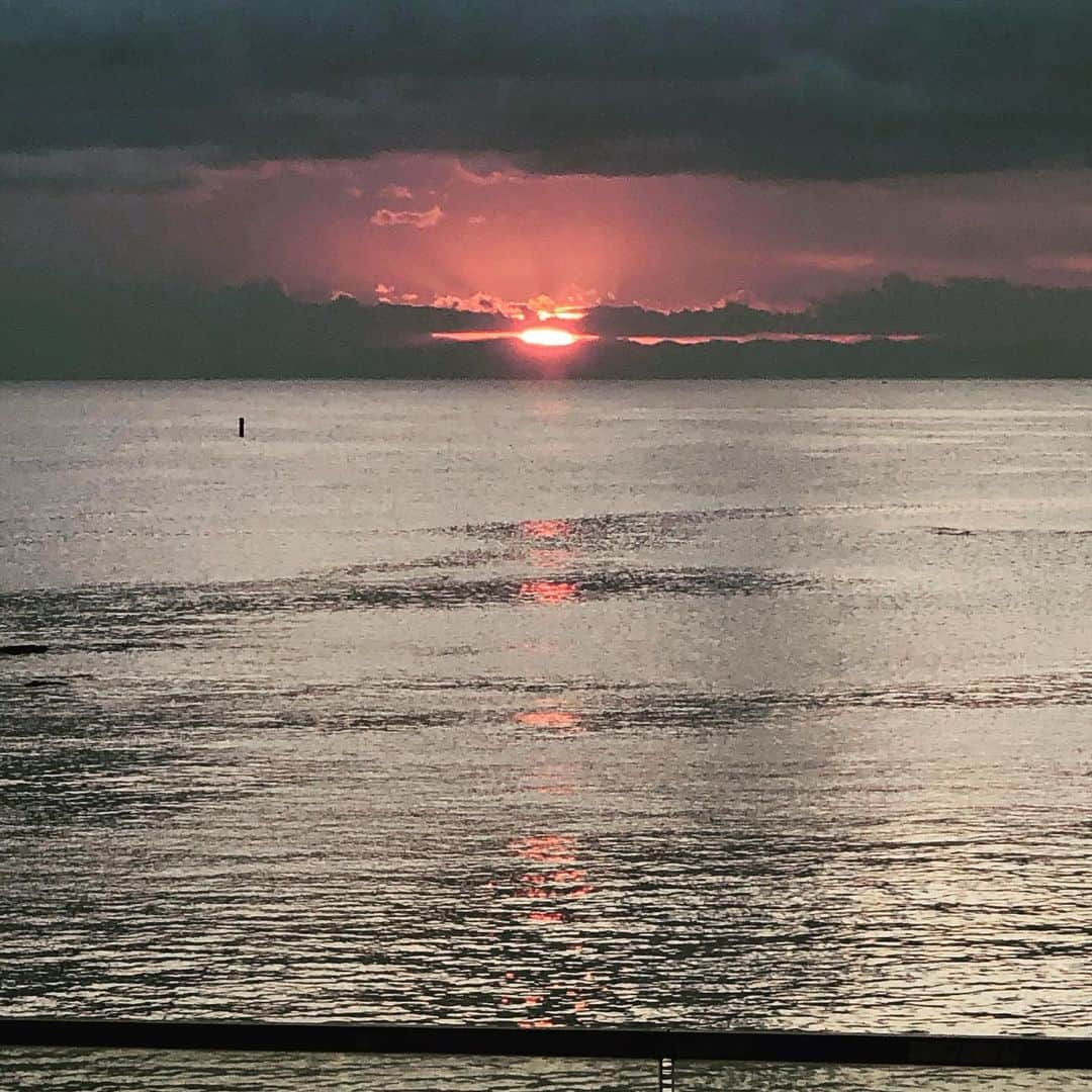 宮里優作さんのインスタグラム写真 - (宮里優作Instagram)「あけましておめでとうございます⛩🌅  昨年は苦しい一年でしたが、皆様に沢山勇気をいただきました！  今年ままだまだ大変なご時世ですが、  健康で、  前を向いて、  一歩一歩進んでいきます！  皆様が少しでも笑顔になれるように、沢山の応援に応えられるように頑張っていきます‼️🙇💪  🐄🐄🐄🐄🐄  @japanairlines_jal  @bridgestonesports_golf  @yanase_official  @pgm.official  @richardmille  @lyle_and_scott  @sev_technology」1月1日 12時50分 - yusakumiyazato_official