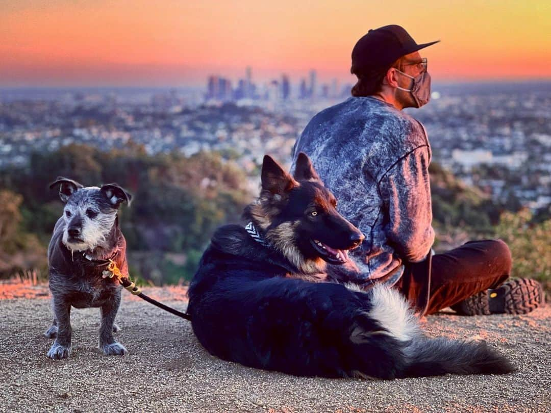 ザカリー・クイントさんのインスタグラム写真 - (ザカリー・クイントInstagram)「final sunset of 2020 with my boys.  a year of challenges we never could have anticipated - or even imagined. struggle. loss. transformation. may we remember all those who have been lost to the pandemic. their families. their friends. may we remember the frontline workers and essential workers who have cared for us and enabled us to survive. may we remember to be grateful. as we face the possibility of a new year - may we bring with us the lessons that this time has afforded us. the simple moments of reflection. the unexpected laughter. the revelation. the surrender. the catharsis. may we enter 2021 with both humility and hope. and may our resilience lead us to a more meaningful fulfillment from within. happy new year to everyone. may the coming year be radically brighter and more brilliant... ✨」1月1日 12時58分 - zacharyquinto