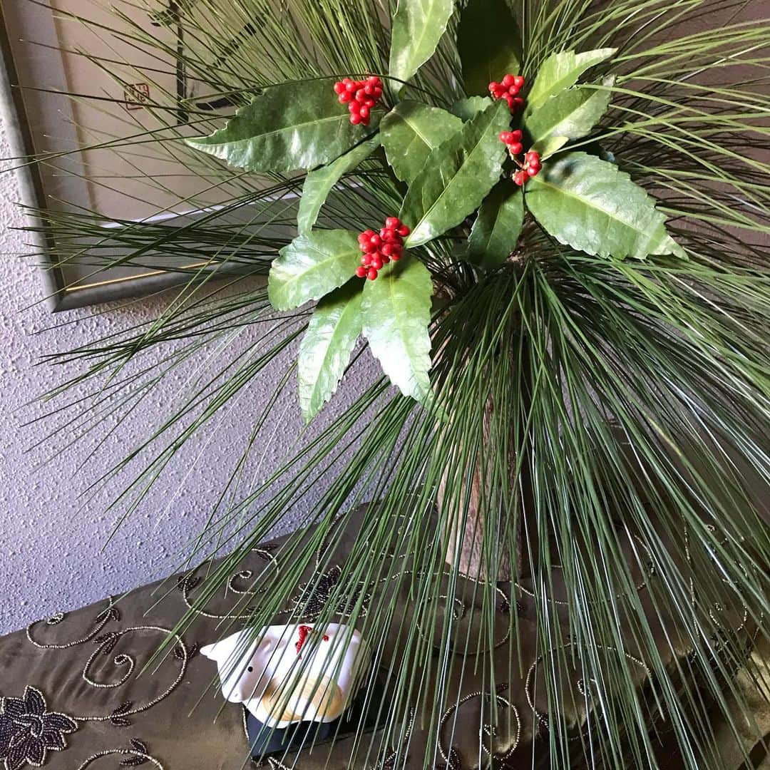 のインスタグラム：「新年明けましておめでとうございます㊗️ 皆さまのご多幸をお祈りいたします🙏✨✨✨  心穏やかに何事にも屈せず他の人たちに優しくいきたいですね❣️ 良い年にしましょう🙂  #新年 #お正月 #2021 #丑年」