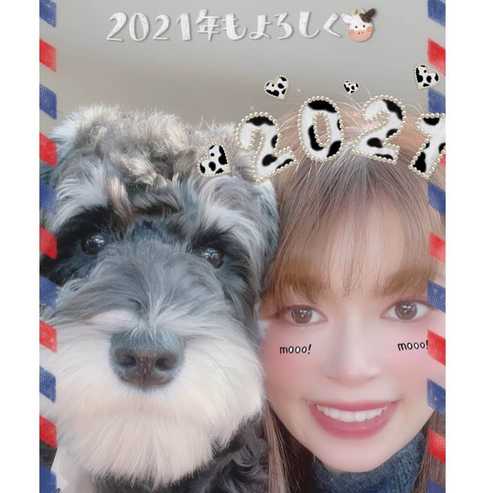 池田彩のインスタグラム：「あけましておめでとうございます🎍 今年もよろしくお願いしますっ😆 笑顔いっぱいの2021年になりますように💕  #あけおめ #2021 #飼い犬　と見せかけて人の犬 #今年もよろしくお願いします」