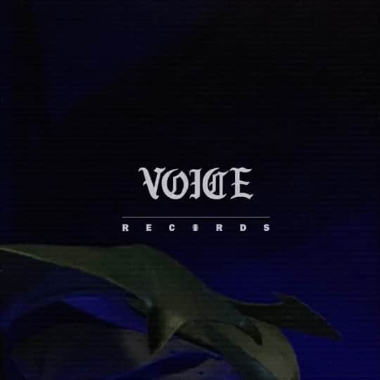 板床悠太郎のインスタグラム：「.﻿ 明けましておめでとうございます。﻿ 2021年1月1日﻿ 「VOICE Records」のレーベル設立を 発表させていただきます。﻿ VOICE Recordsでは、﻿ 主な活動として所属アーティストの 楽曲制作／映像制作/LIVE活動などを中心に行ってまいります。﻿ レーベル設立にあたり新たに JiN氏(@jineousmusic )を﻿アドバイザーに迎え、﻿新たな才能を発掘、育成すべく第4期生を募集致します。﻿ ﻿ 【募集期間】﻿ ・2021年1月1日〜2021年1月11日﻿ ﻿ 【募集人数】﻿  限定5名﻿  (定員に達し次第終了)﻿ ﻿ 【募集資格】﻿ ・男女問わず18歳以上の方﻿ ・特定のレーベルに所属されてない方﻿ ・音楽未経験者でもやる気のある方﻿ ﻿ 詳細につきましては、﻿ YTR又はVOICEアカウントの﻿ DMにてご連絡お待ちしております。﻿ ﻿  ﻿ 　　　　　　　　　　　　　VOICE Records 代表　板床悠太郎﻿ ﻿ JiN﻿ シンガー、ソングライター、プロデューサー。﻿ 韓国に生まれ大阪で育ち10代後半に渡米、﻿ 22歳の時、 ボストンのバークリー音楽院に留学。﻿ 2000年に「ONE LIFE」でメジャーデビュー。﻿ プロデューサーとしての代表曲は、﻿ AIの”Believe”,　﻿ ”僕らを待つ場所”（映画AI崩壊主題曲）﻿ Ms.OOJAの”また恋をすることなど”﻿ May J.の”ありがとう”。﻿ ”エモーション”を一番大事にする彼のプロデュースワークは歌い手から絶大な信頼を寄せている。﻿ 一番影響を受けたヴォーカリストはLuther Vandross。」