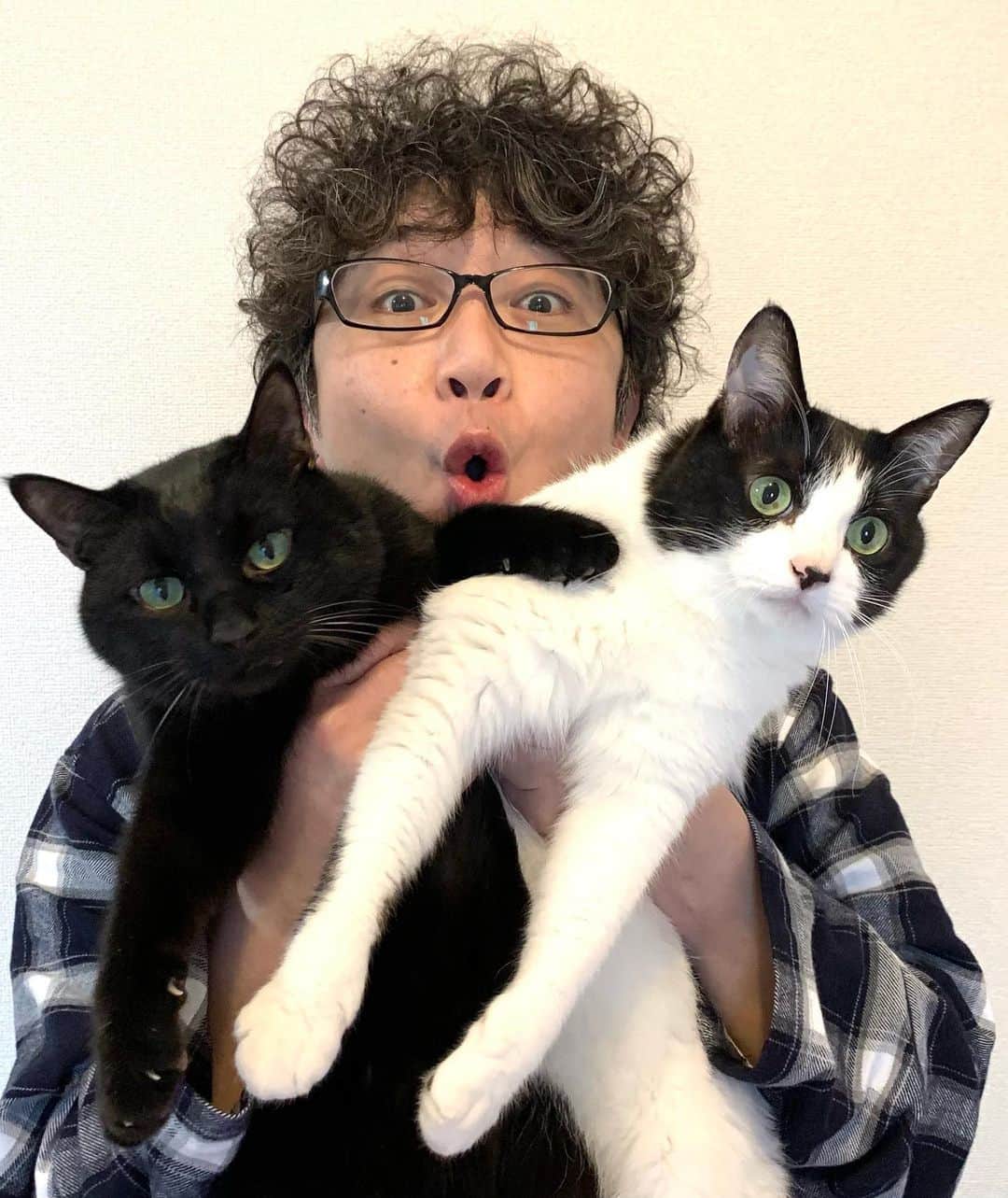 辻本耕志さんのインスタグラム写真 - (辻本耕志Instagram)「明けましておめでとうございます。昨年は沢山大変な事がありましたが、2021年は少しでも世界が明るくなりますようにと心から願っております。 今年も皆様、何卒宜しくお願いします。 笑っていきましょう。 #2021 #元旦　#猫　#ねこ　#ネコ　#cat  #むぎ　#ごま」1月1日 13時28分 - tsujimotokouji