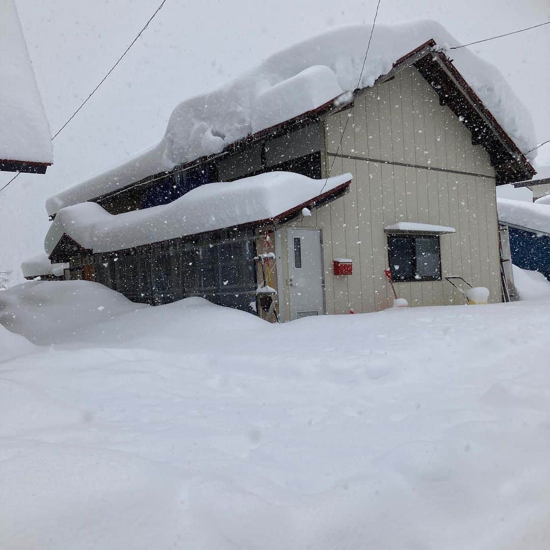 本坊元児さんのインスタグラム写真 - (本坊元児Instagram)「明けましておめでとうございます。 雪かきも慣れてきました」1月1日 13時32分 - honbouganji