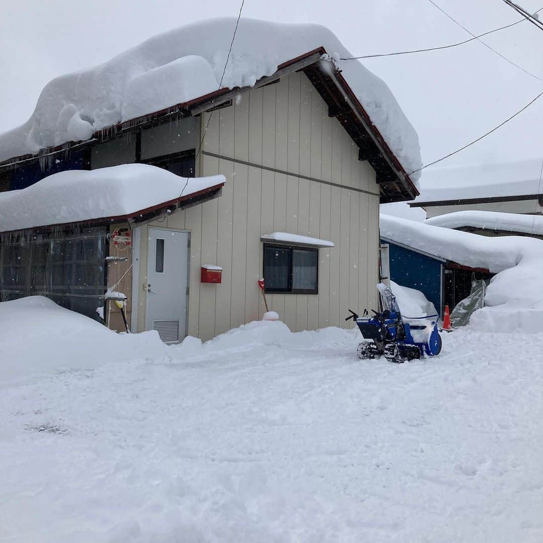 本坊元児さんのインスタグラム写真 - (本坊元児Instagram)「明けましておめでとうございます。 雪かきも慣れてきました」1月1日 13時32分 - honbouganji