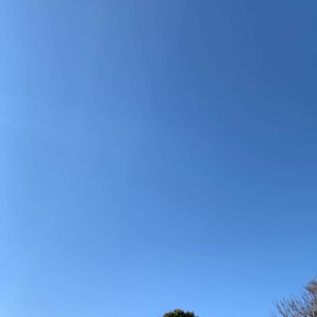 森なな子のインスタグラム：「快晴☀️幸先いいね！ #元旦」