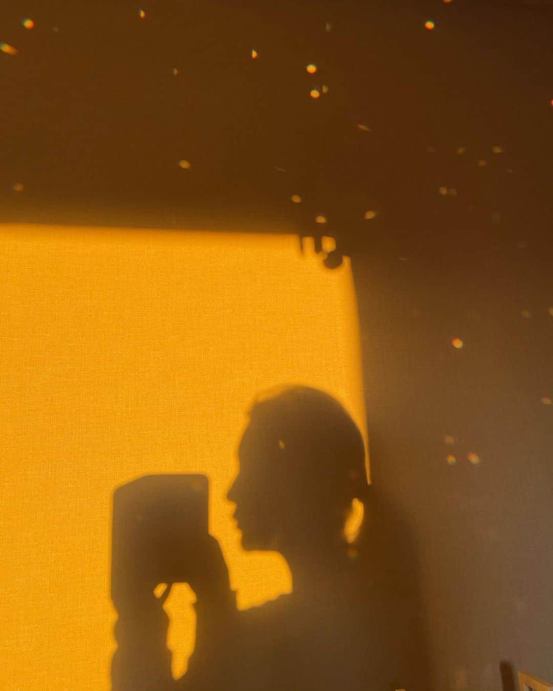 椎名美月さんのインスタグラム写真 - (椎名美月Instagram)「夕方、部屋に入ったらシャンデリアに光が反射して、キラキラになってた🧚‍♂️」1月1日 19時55分 - mizkiss