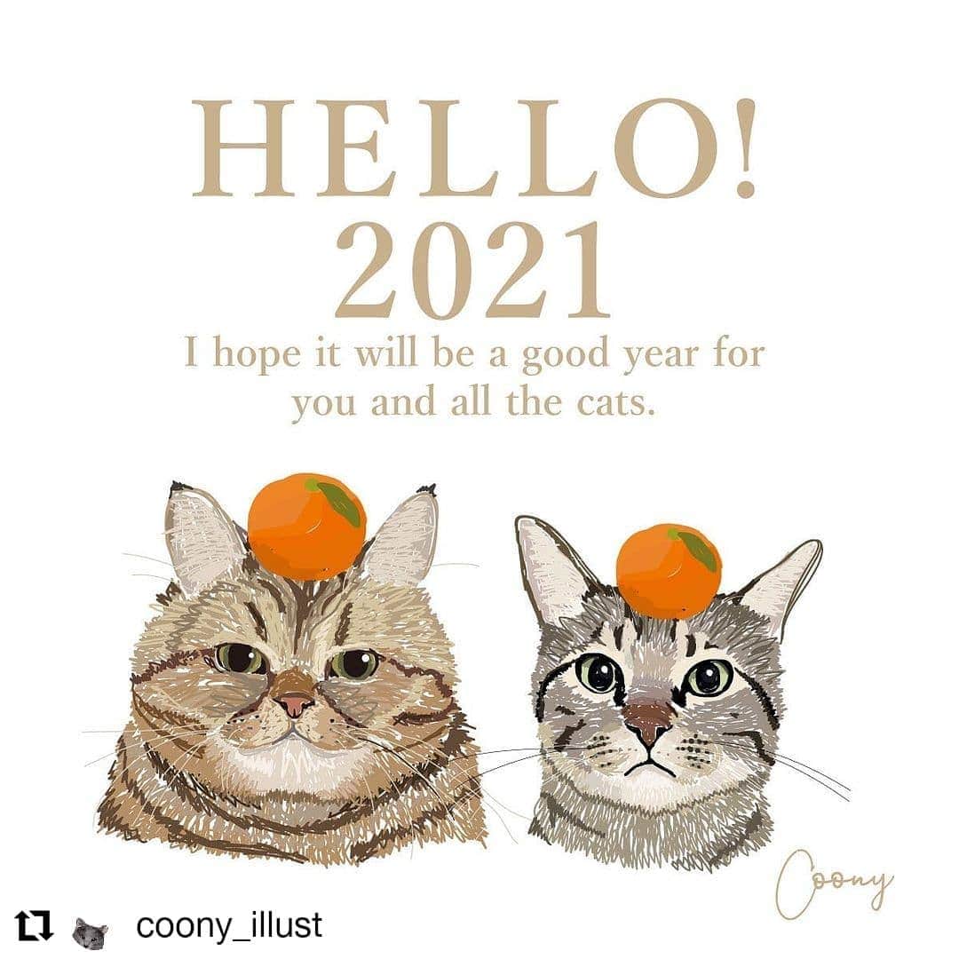 寅次郎（とらちゃん）さんのインスタグラム写真 - (寅次郎（とらちゃん）Instagram)「☆ Happy New Year!! . あけましておめでとうございます🎍🌅🎍 今年もよろしくお願いしますにゃん😽🍊 . @coony_illust さんの投稿をシェアします！ . なんと個展が決定されたそうです🎉🎉🎉 おめでとうございます🎊 行きたいなぁ～ . #Repost @coony_illust • • • • • • 【ご挨拶とお知らせ】 あけおめです！ことよろです！Coonyです！  2020年はニャオニャオイヤーという記念すべき年なのに、大変な年でしたね😅私にとってはねこねこチーズケーキさんとお仕事させていただいたのがビッグトピックでした！おかげさまで大ヒットだそうで😭💓フォロワーさんにも買ってくださる方、購入後もパケを飾ってくださるが多くてとっても嬉しいです🙏ありがとうございます！  2021年は広げる年！より多くの方に知っていただき、保護猫への支援に変えていけたらと思います！  また改めてお知らせしますが 日本で初めての個展の開催が決定しました！（初の個展実は韓国😂） 日程はもちろん猫の日スタート🔥 ご縁あって渋谷PARCOという素晴らしい場所での個展が実現しそう😭!!!!!! 2021年2月22日（月）〜2月27（土） 場所：渋谷PARCO  詳細はまた後日お知らせいたします！ 取り急ぎ新年のご挨拶にまぎれて宣伝してみました🤣！  新年画像はキジトラ模様のコンビにみかんをON🐱🍊  Thank you! @torachanthecat @kotarock0913   #猫#にゃんこ#猫イラスト#新年のご挨拶 #2021#catillustration #newyear#tabbycat #キジトラ」1月1日 19時55分 - torachanthecat