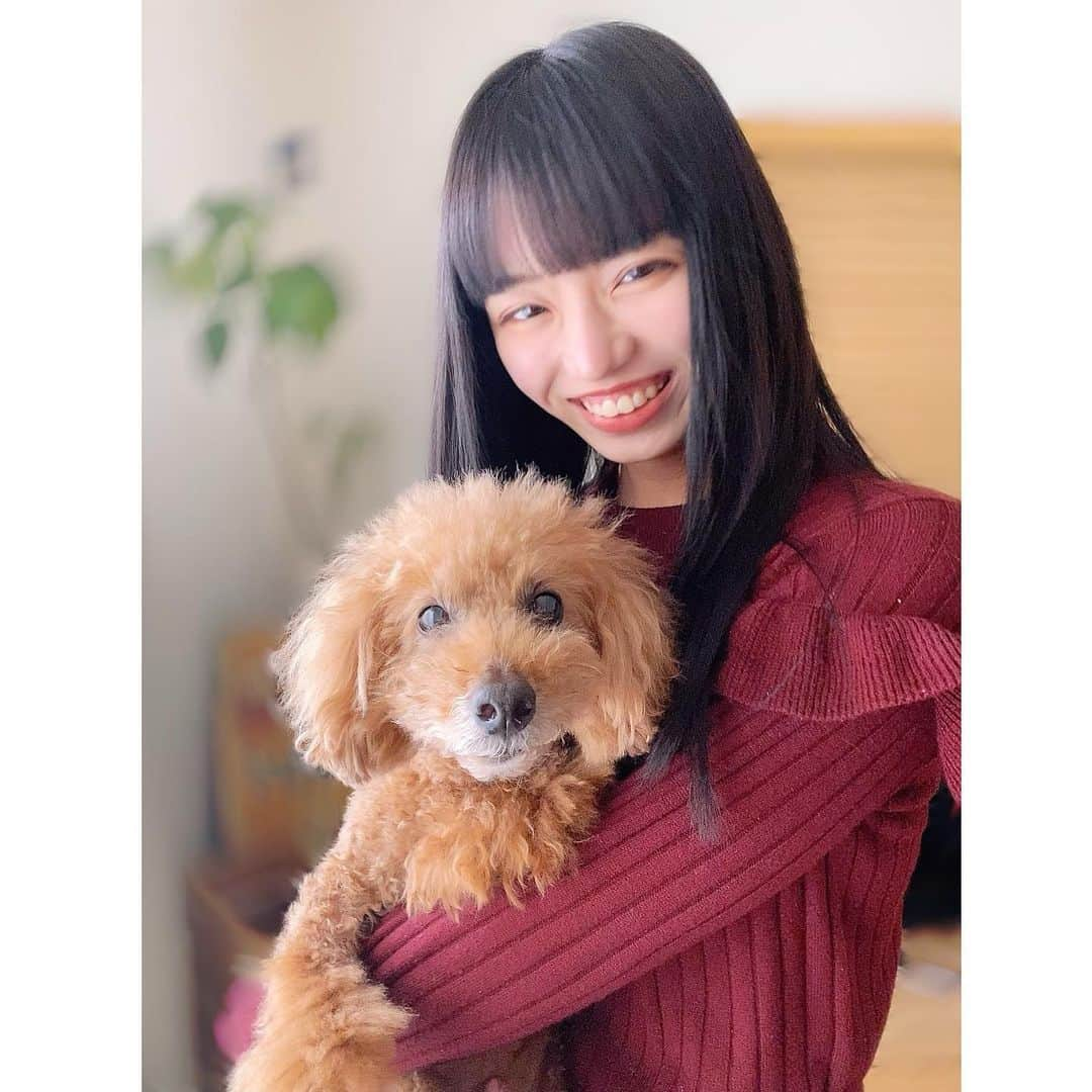 岩城優里さんのインスタグラム写真 - (岩城優里Instagram)「2021年明けましておめでとうございます⛩ . . 今年1枚目はイッヌがメインの写真です🐶笑 . 今年も楽しく健康に沢山笑える年に( ¨̮ ) . . #2021 #2021年 #謹賀新年 #黒髪 #黒髪ロング #黒髪ぱっつん  #今年もよろしくお願いします #⛩」1月1日 14時39分 - yuriiwaki_1130