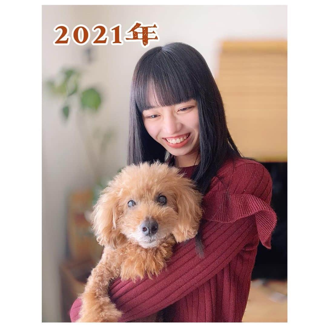 岩城優里のインスタグラム：「2021年明けましておめでとうございます⛩ . . 今年1枚目はイッヌがメインの写真です🐶笑 . 今年も楽しく健康に沢山笑える年に( ¨̮ ) . . #2021 #2021年 #謹賀新年 #黒髪 #黒髪ロング #黒髪ぱっつん  #今年もよろしくお願いします #⛩」