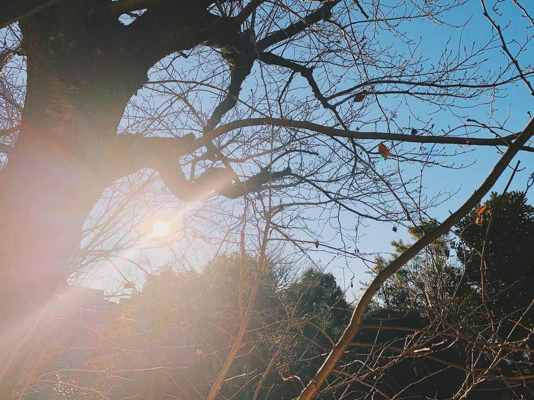 宇藤えみのインスタグラム：「2021.1.1 あけましておめでとうございます。 朝日がキラキラして気持ち良く迎えた朝。 今年はきっといい事あるね。 と夫とパシャパシャ写真撮ってました。 本年もどうぞよろしくお願いします。 #2021」