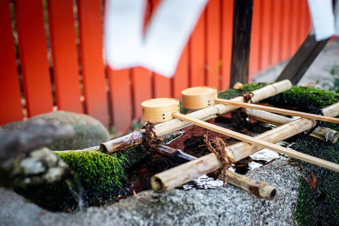 ひとみのインスタグラム：「・ ・ あけましておめでとうございます🎍  昨年末から風の時代に変わったそうですね。 良くわからんけど😂  また旅行に行ったり、会いたい人に会いに行ったりできる時代が早くきますように。  写真はいつかの下鴨神社⛩  みなさんにとって幸多き一年となりますように🥰 ・ ・」