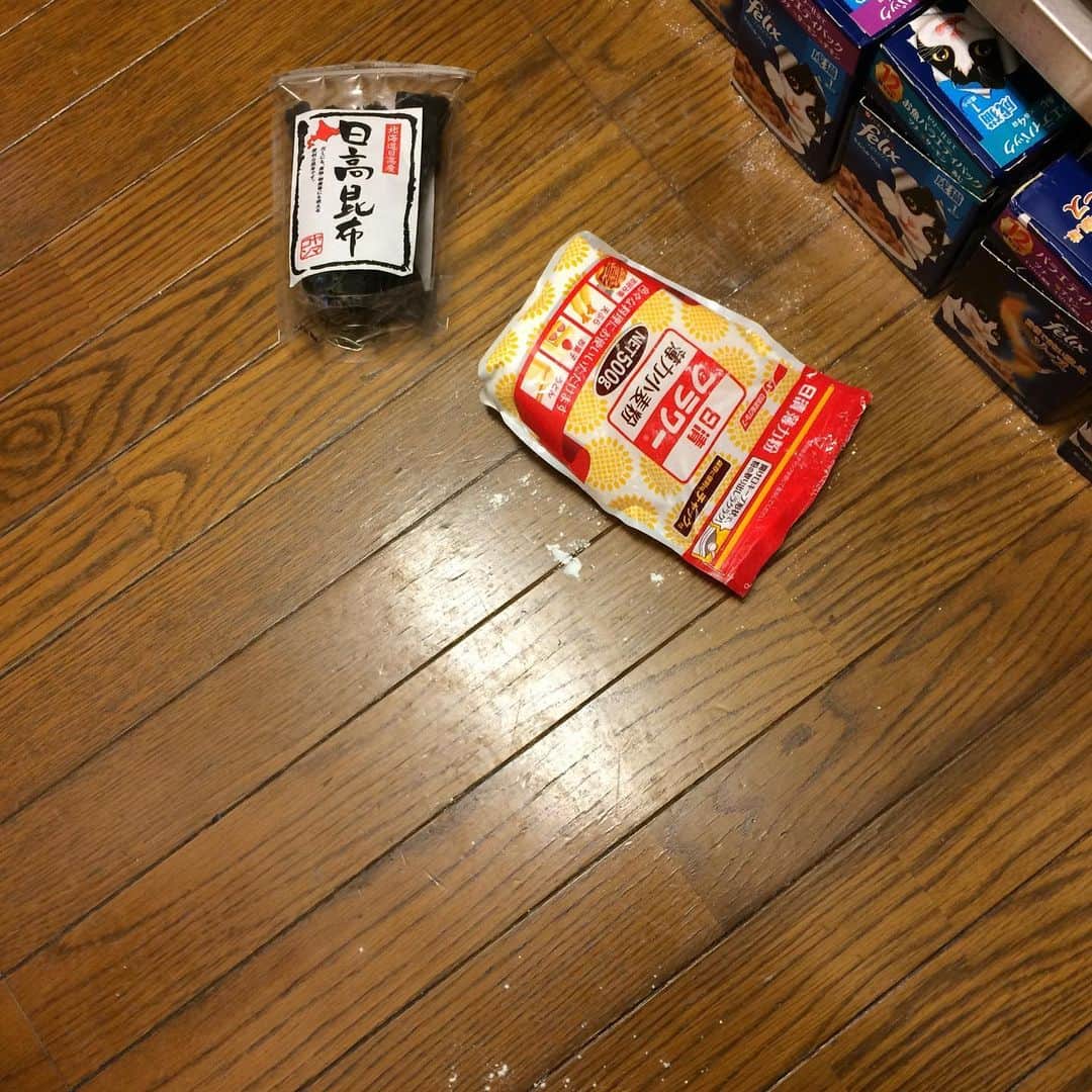 岡田屋鉄蔵のインスタグラム：「新年一発目。 犯猫のドヤ顔をご覧下さい。」