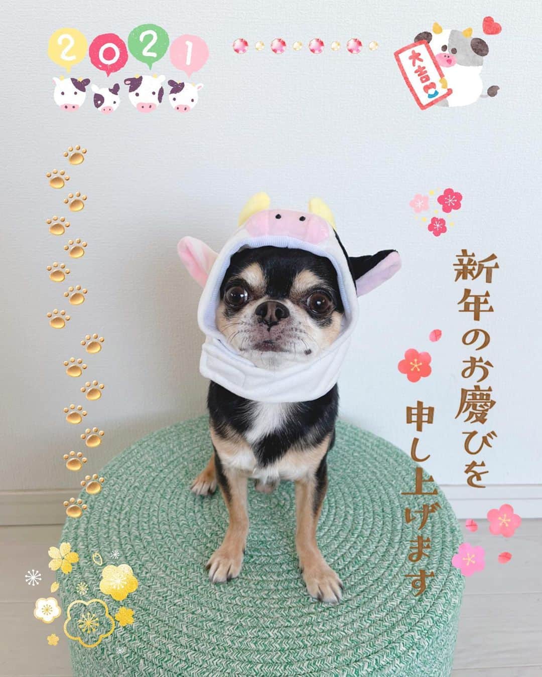 夢城えれんのインスタグラム：「本年もよろしくお願い致します😌😌😌  本年が全世界が健康で幸いな年となります事を祈念します😌  #丑年 #あけましておめでとうございます #2021」