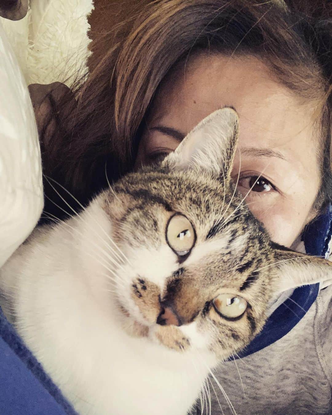 三谷晶子のインスタグラム：「あけましておめでとうございます。 今年も仲良しです。  #加計呂麻島　 #kakeromaisland  #猫　 #ねこ #ネコ #ねこすたぐらむ  #cat  #catsofinstagram  #catstagram  #catlife  #catlover  #cats  #catlovers  #cats_of_instagram  #catphoto  #catmovie  #islandlife  #islandgirl  #island  #islandcat  #islandcats #japanesecat  #japanesecats  #japanesegirl  #japan_of_insta  #japanese  #japan」