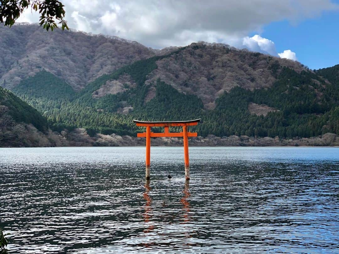 石井脩平さんのインスタグラム写真 - (石井脩平Instagram)「⛩ 🎍Happy New Year🎍 　 　 2021年 皆さんにとってええ年になりますように⛩ 　 今年もどうぞよろしくお願いします ☺︎ 　 　 #奇跡的に撮れたおめでたい写真 #ちょうど鳥が鳥居の真ん中に来てくれてん #ありがとう 　 #そんな事より #新年の実感が無い #こんなん初めてや 　 #東京の街の感じも #自分のスケジュールも相まって #まだリハちゃうか #思てまうぐらい 　 #新年の御挨拶 #謹賀新年 #九頭龍神社 #StaySafe」1月1日 15時55分 - presidentchan141