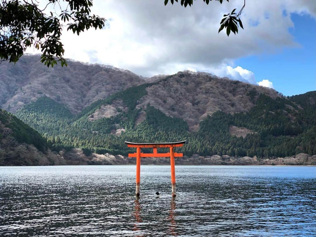 石井脩平のインスタグラム：「⛩ 🎍Happy New Year🎍 　 　 2021年 皆さんにとってええ年になりますように⛩ 　 今年もどうぞよろしくお願いします ☺︎ 　 　 #奇跡的に撮れたおめでたい写真 #ちょうど鳥が鳥居の真ん中に来てくれてん #ありがとう 　 #そんな事より #新年の実感が無い #こんなん初めてや 　 #東京の街の感じも #自分のスケジュールも相まって #まだリハちゃうか #思てまうぐらい 　 #新年の御挨拶 #謹賀新年 #九頭龍神社 #StaySafe」