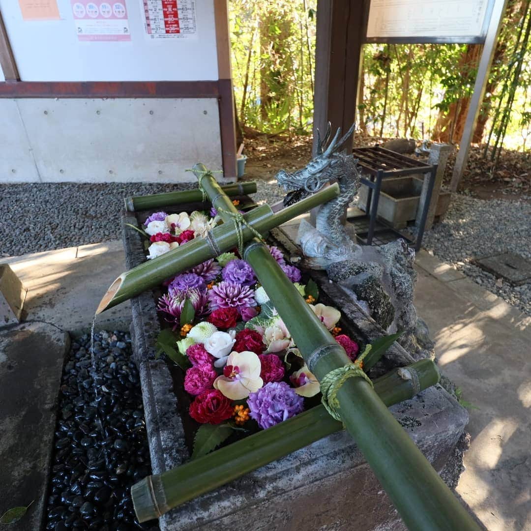 日向正樹さんのインスタグラム写真 - (日向正樹Instagram)「南沢氷川神社に初詣行ってきたー。」1月1日 16時07分 - hinatamasaki