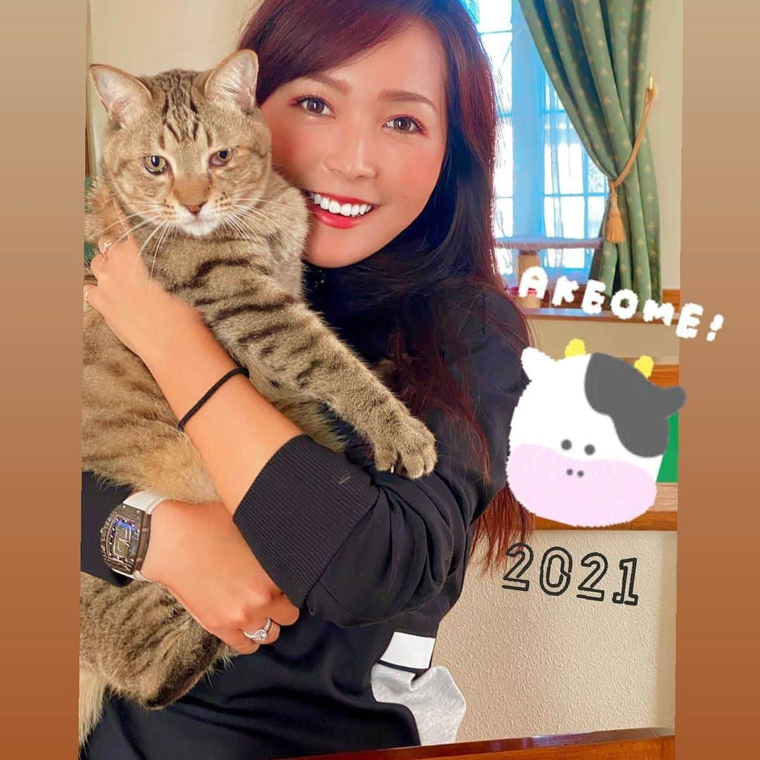 青木瀬令奈さんのインスタグラム写真 - (青木瀬令奈Instagram)「新年明けまして おめでとうございます🎍🌟 皆さまいかがお過ごしでしょうか🌸 🎍 年明け1枚目は茶太郎と🦁💓 おかげさまでこんなに大きく なりましたよ〜💓💓 今年も13匹の猫ちゃんたちと 元気に頑張ります😆🌈 #loveandthanks  #愛猫　 #茶太郎　 #family  #love  #愛する猫たち　 #猫のいる暮らし  #cat  #感謝」1月1日 16時00分 - serenaaoki_official