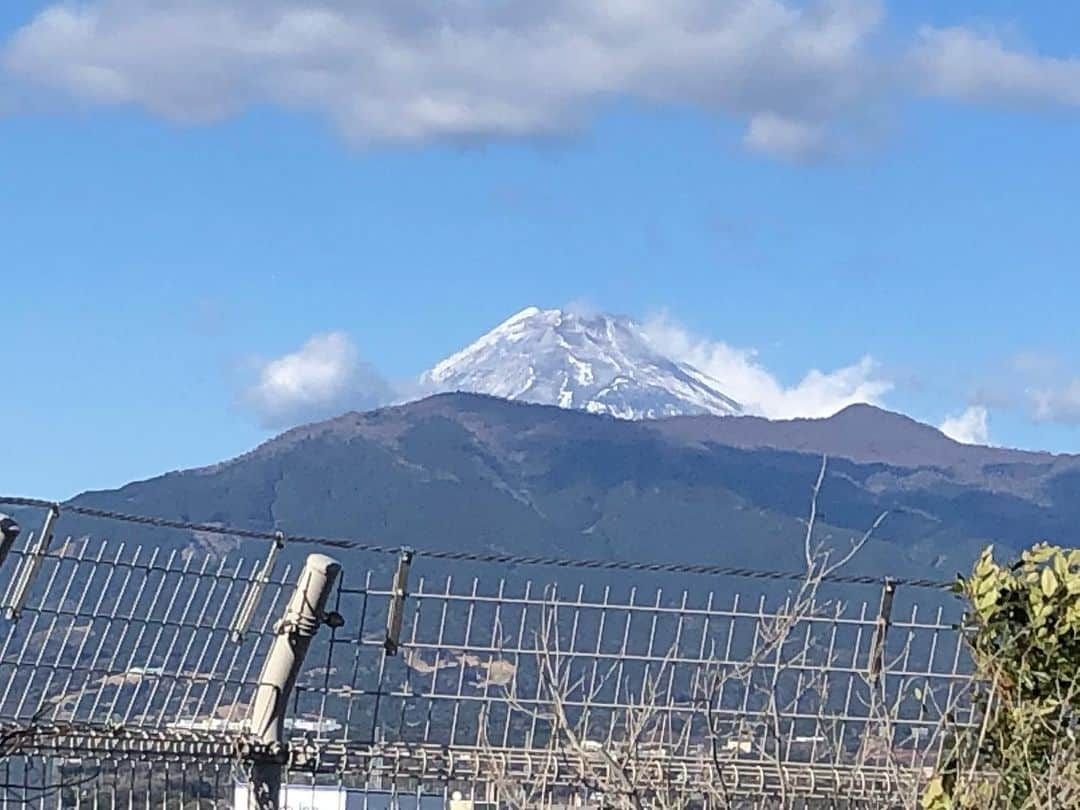 富士彦のインスタグラム：「新年おめでとうございます 本日も沼津ラクーンよしもと劇場で、仕事始めをさせていただきました ありがとうございます！ ことしもよろしくお願いいたします おせち料理と大好きな#山正 さんのお寿司でお正月を感じています！！」