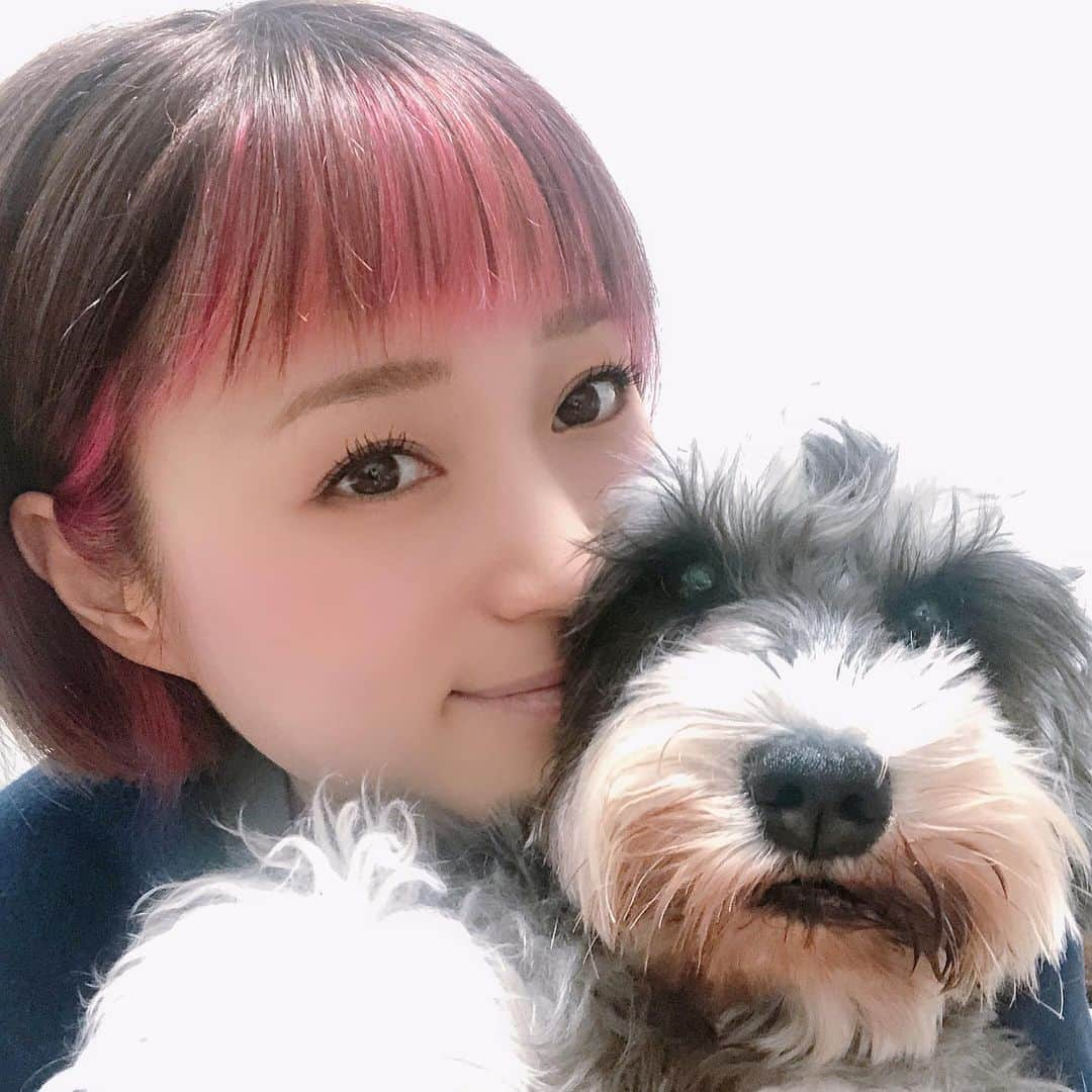 たかはしゆいさんのインスタグラム写真 - (たかはしゆいInstagram)「・ はっぴーにゅーいやー🌸 ・ 明けましておめでとうございます 🎍㊗️🎍 ・ 今年も宜しくお願いします❤️ ・ #2021年  #happynewyear  #あけおめ  #お正月  #愛犬と年越し  #きぃたん #シュナウザー  #ゆいりん #たかはしゆい」1月1日 16時15分 - t.yuirin