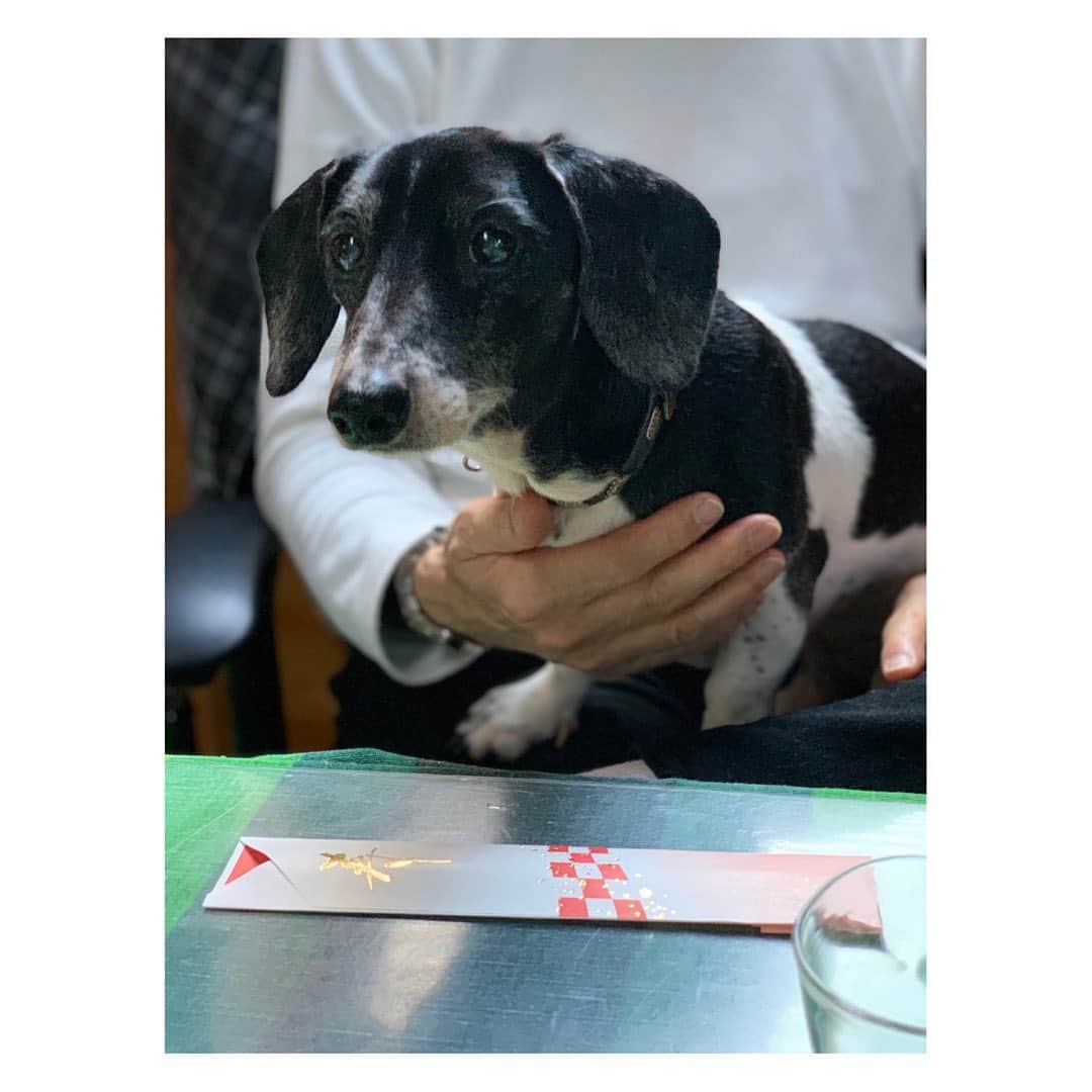 森田麻恵さんのインスタグラム写真 - (森田麻恵Instagram)「明けましておめでとうございます🎌  蕾だった桜がたくさん開いた元旦の朝。家族揃って元気に新年を迎えられて嬉しい！🐾  皆さんにとって、笑顔がいっぱいの幸せな一年になりますように！  今年もどうぞよろしくお願いいたします。  #happynewyear #2021 #愛犬との時間」1月1日 16時50分 - morita_mae